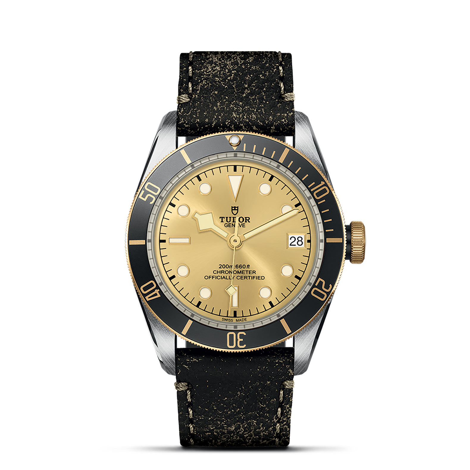 TUDOR Black Bay Watch - M79733N-0003 at Persin & Robbin