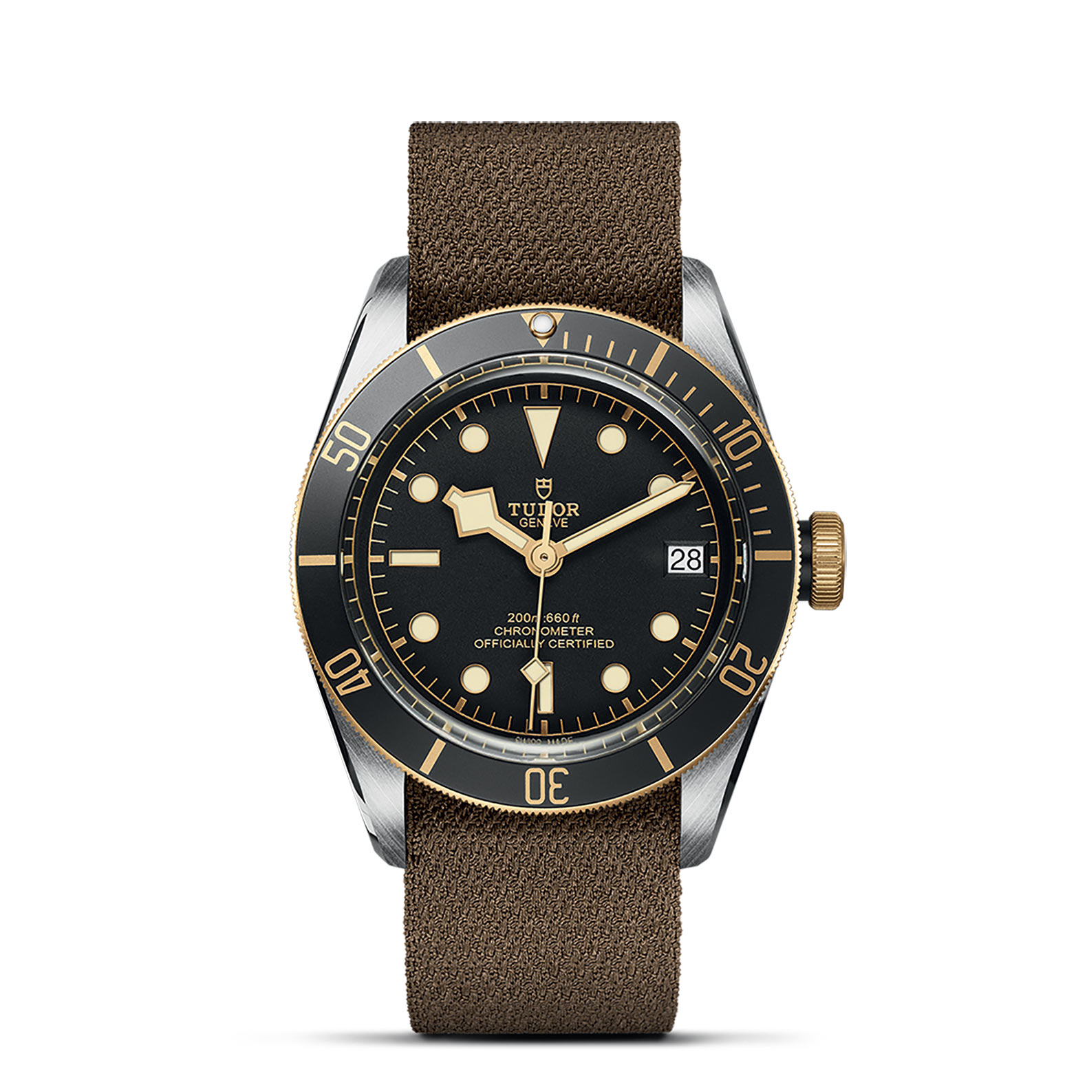 TUDOR Black Bay Watch - M79733N-0005 at Persin & Robbin