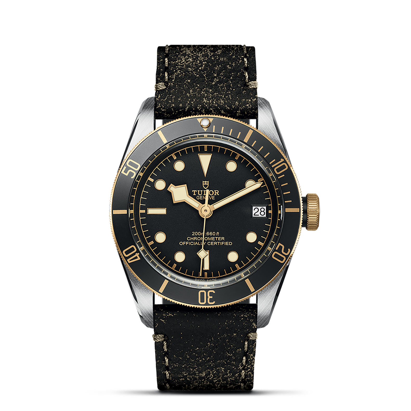 TUDOR Black Bay Watch - M79733N-0007 at Persin & Robbin