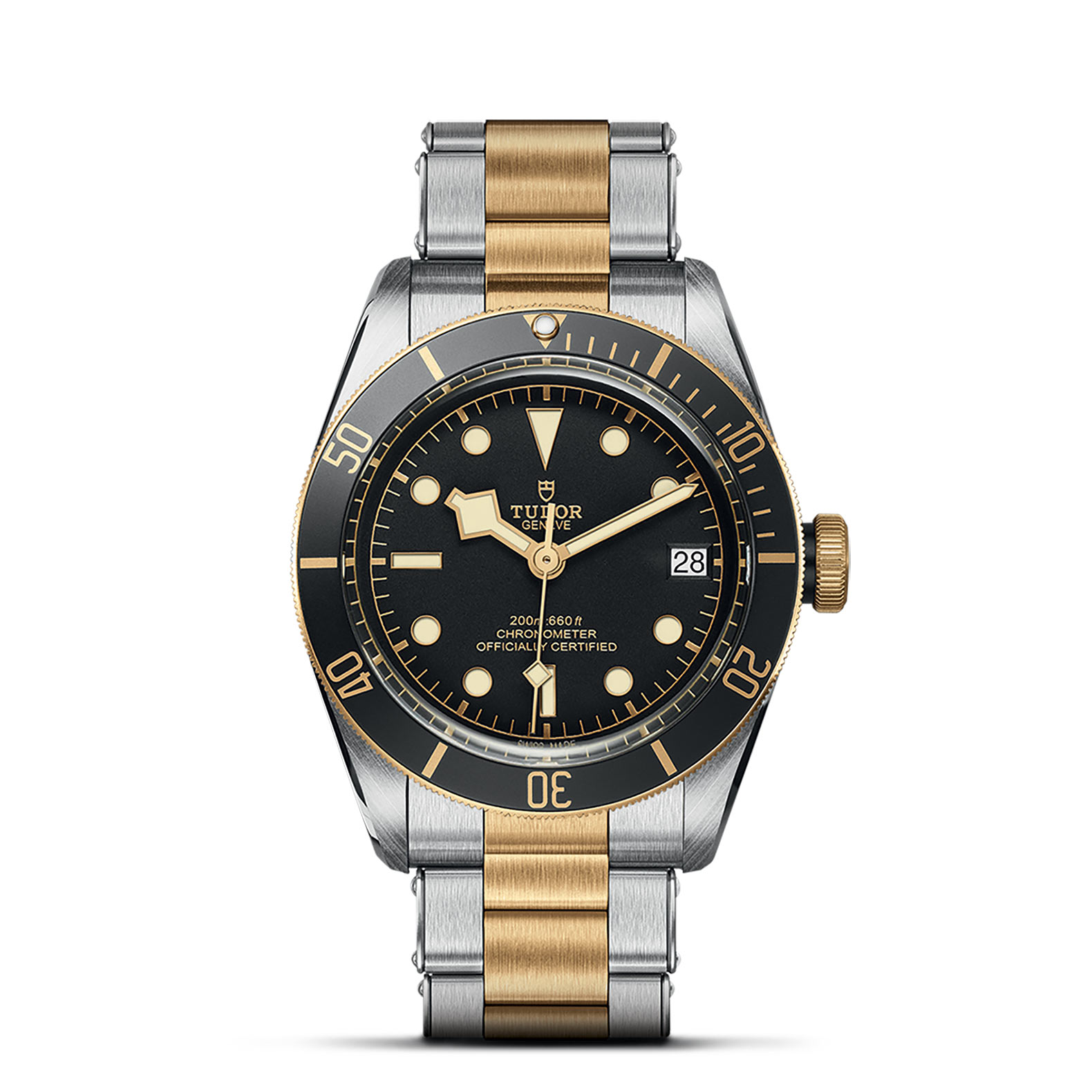 TUDOR Black Bay Watch - M79733N-0008 at Persin & Robbin